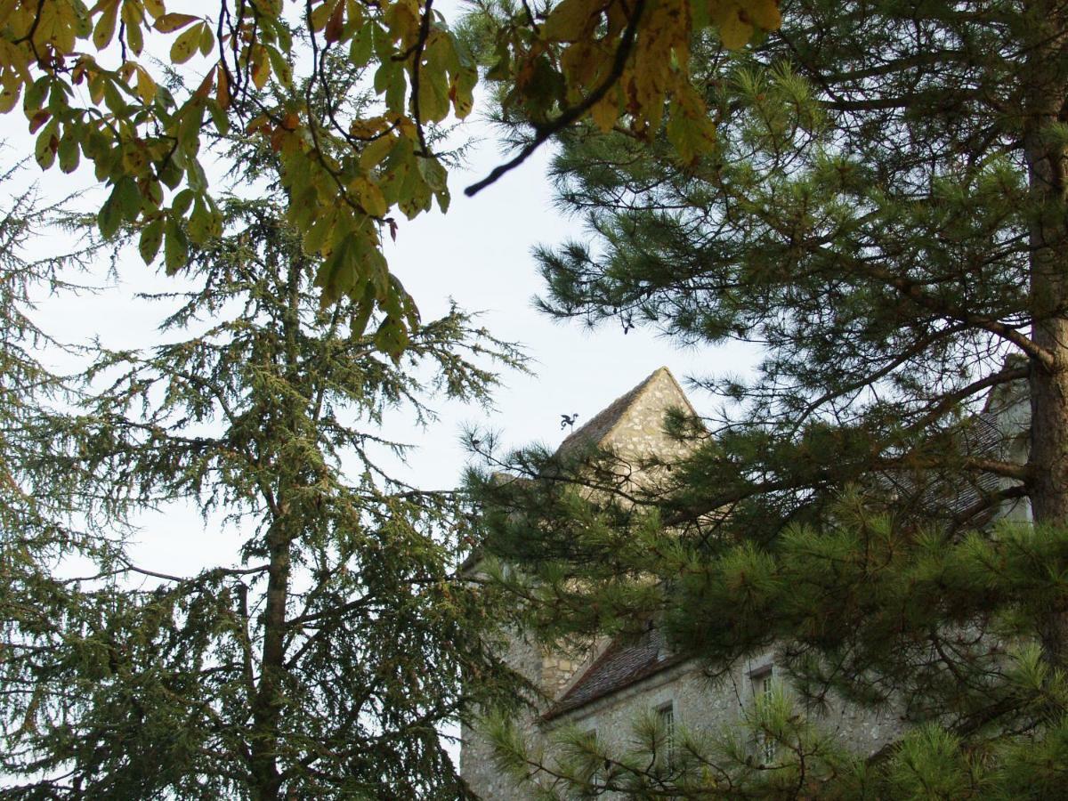 Château de Montramé Soisy-Bouy Exterior foto